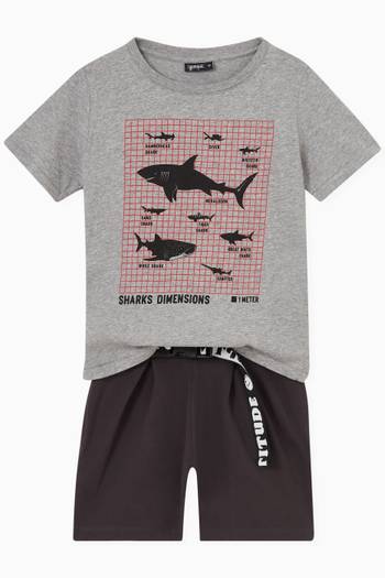 hover state of Shark Types T-shirt in Cotton 