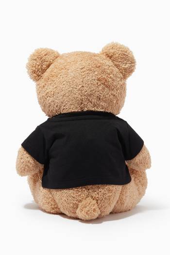 hover state of Dream Logo Teddy Bear in Plush