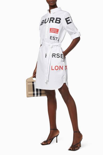 hover state of Horseferry Shirt Dress in Cotton