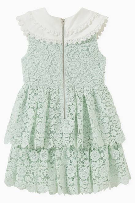 hover state of Floral Guipure Lace Collar Dress