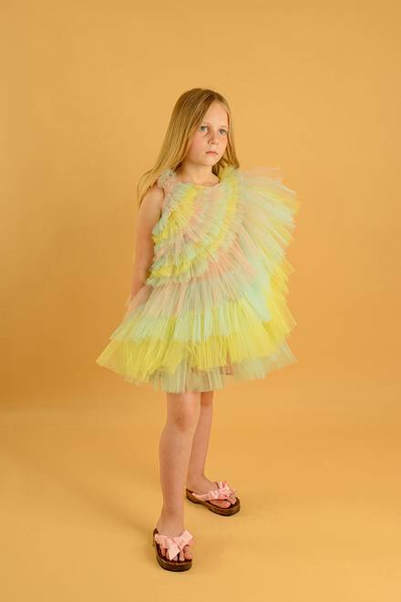 hover state of Swan Dress in Tulle