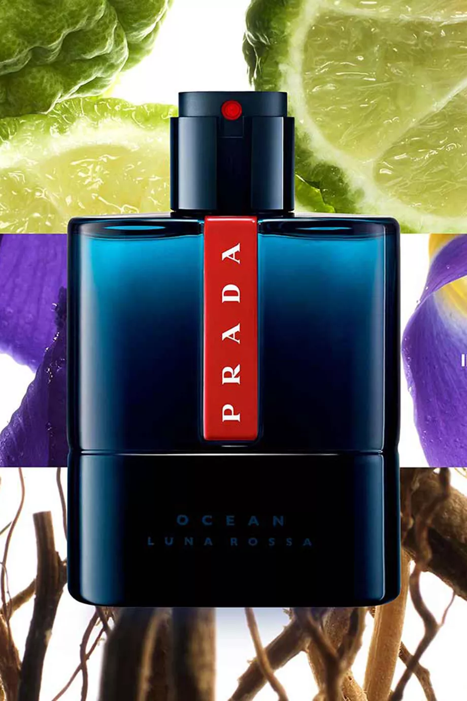 Shop Prada Perfumes Multicolour Luna Rossa Ocean Eau de Toilette, 50ml for  MEN | Ounass Saudi Arabia